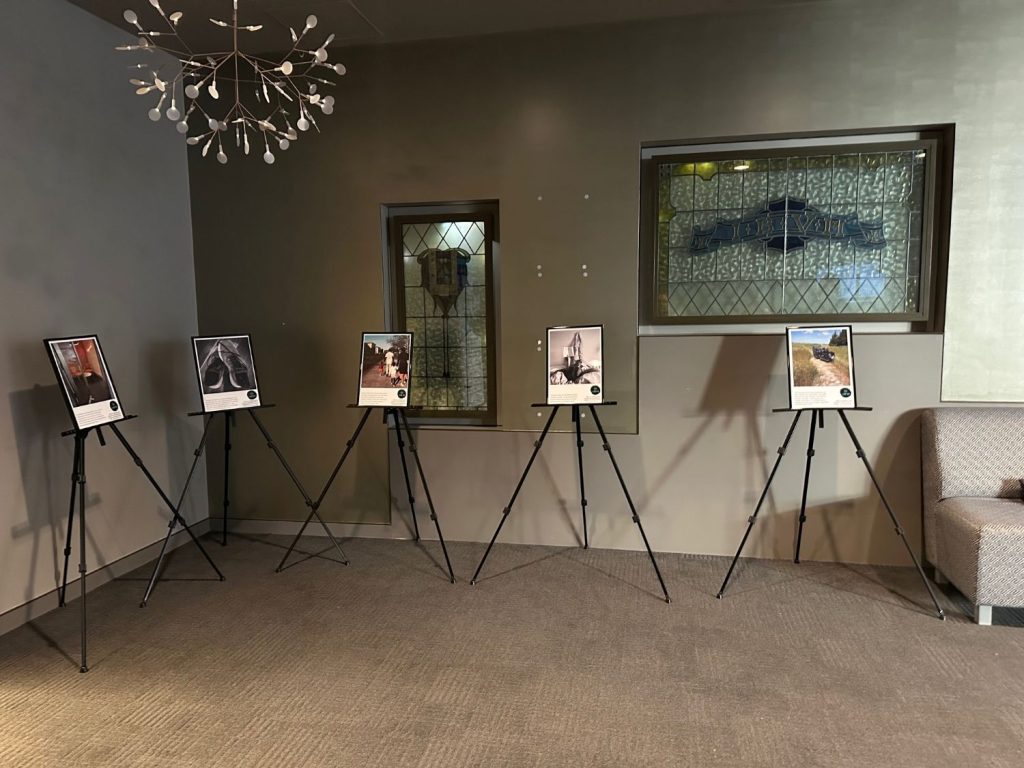 Pictures of two exhibitions held in 2023 and 2024 with images and the Safety4U narratives.